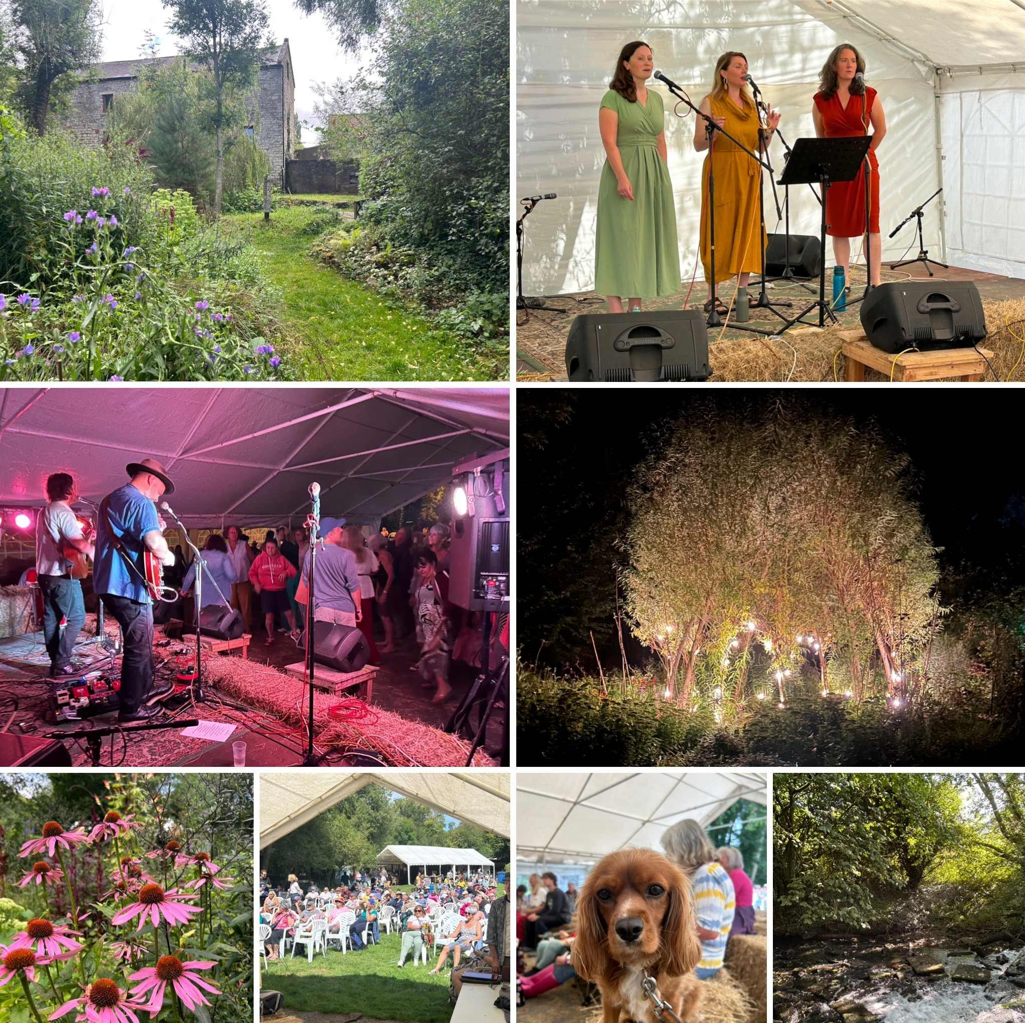 cropped-blues-fest-image-copy.jpg